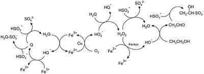 Formation and Accumulation of Acetaldehyde and Strecker Aldehydes during Red Wine Oxidation